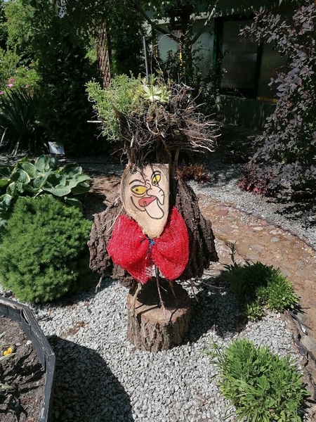 Zdjęcie
