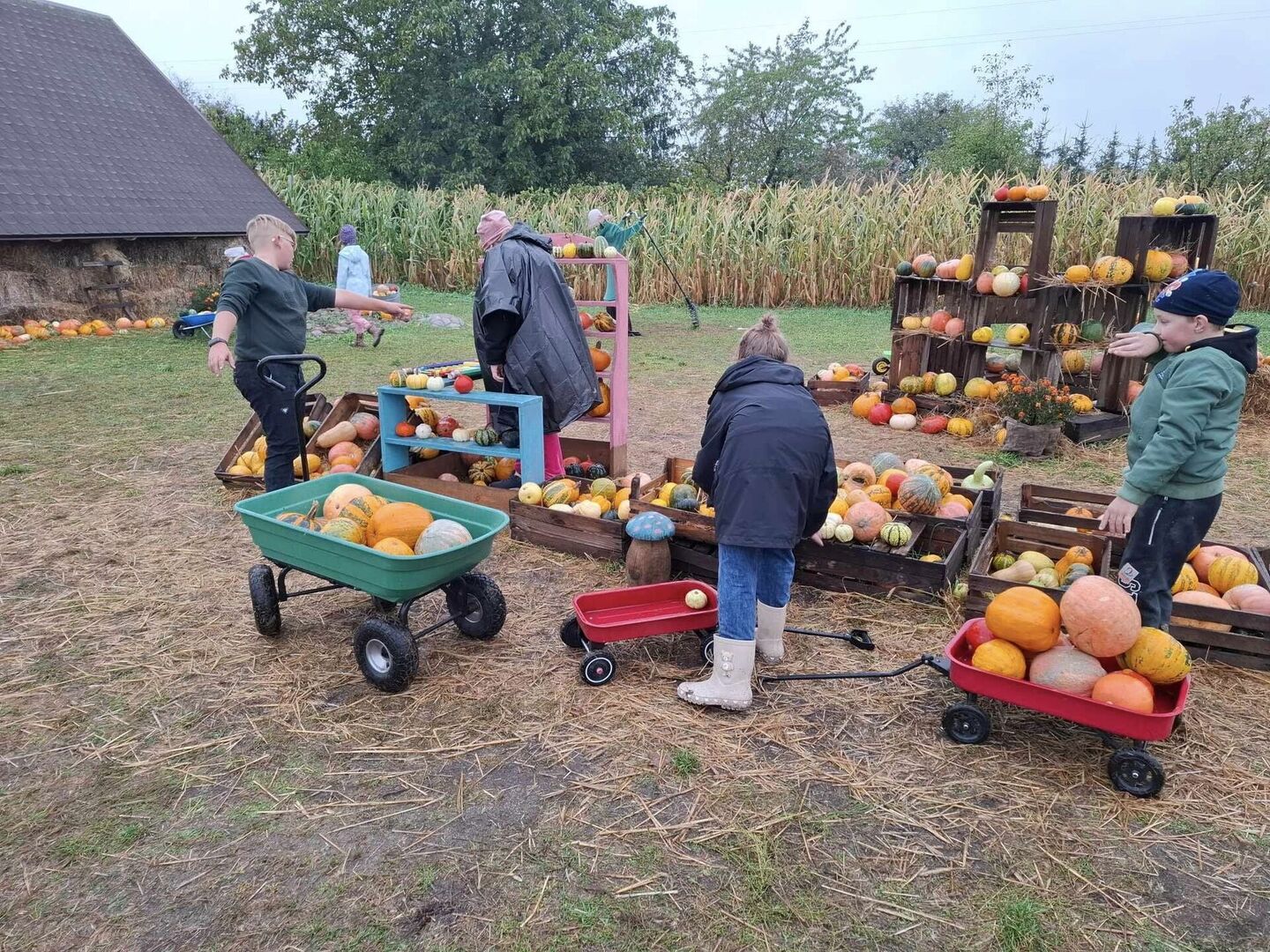 Tutaj powinien być opis obrazka