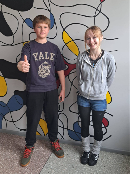 przechwytywanie.png [523x698]