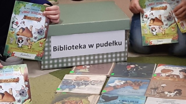 Tutaj powinien być opis