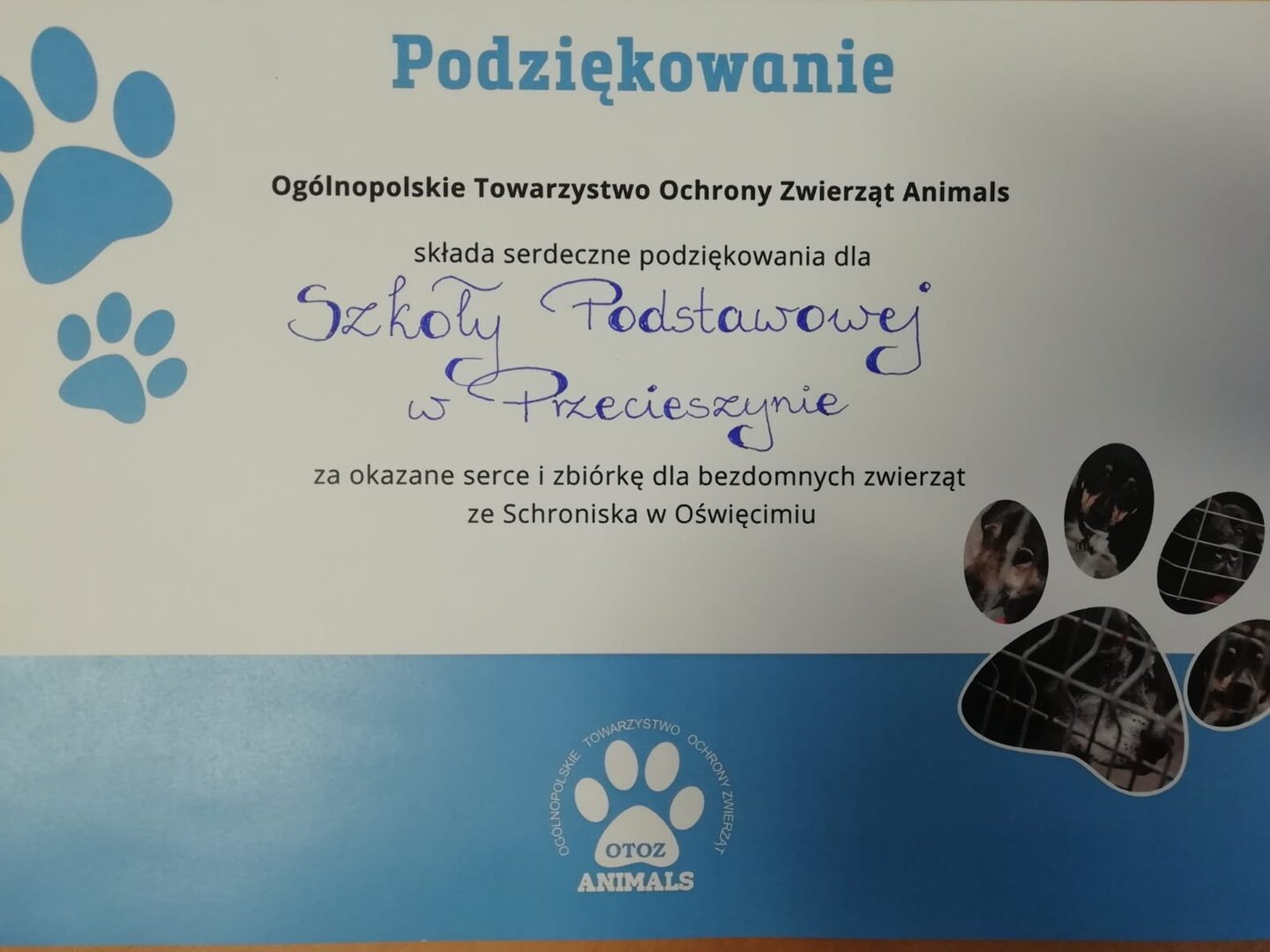 Tutaj powinien być opis