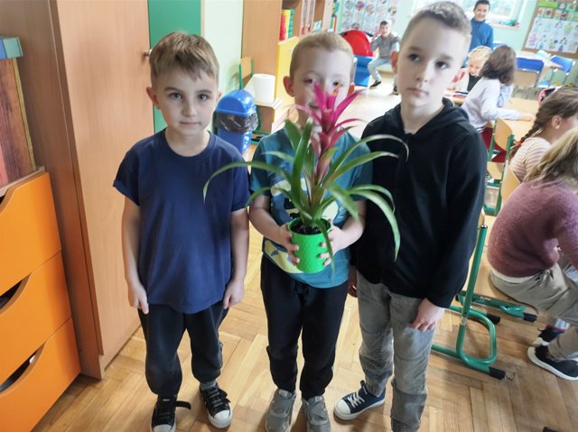 Tutaj powinien być opis