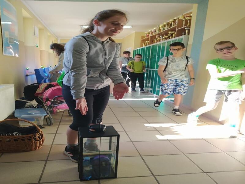 Zdjęcie