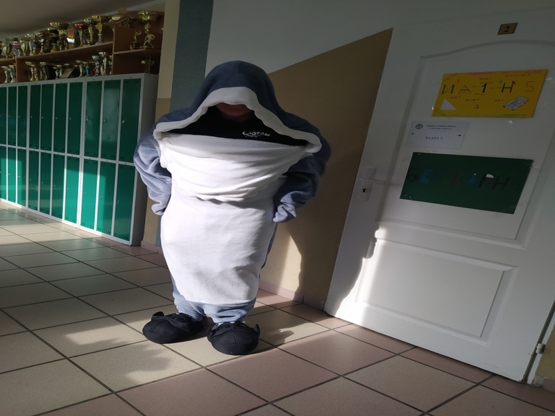 Zdjęcie
