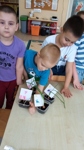 Zdjęcie