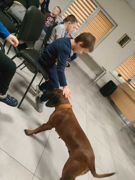 Zdjęcie