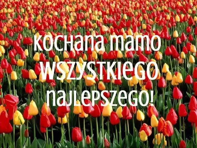 fotka.jpg [640x480]