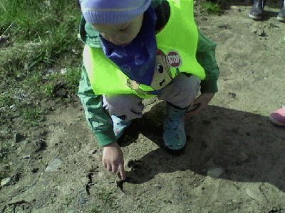 Adaś pokazuje ślady racic sarny!