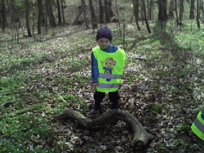 Tomek znalazł konar drzewa podobny do węża