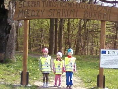 ZDJĘCIE KONKURSOWE- ŚCIEŻKA MIĘDZY STARYMI BUKAMI.