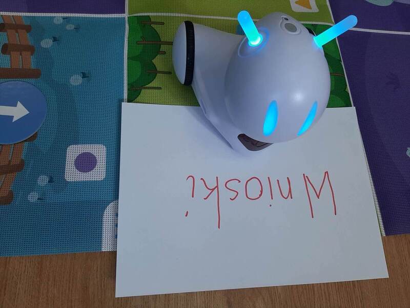 Zdjęcie