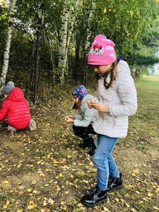 jesien7jpg [225x300]