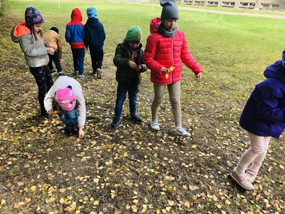 jesien8jpg [400x300]