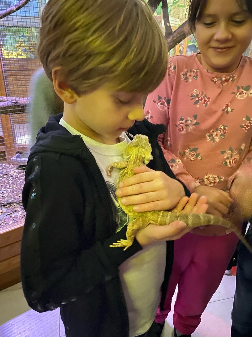 Tutaj powinien być opis obrazka