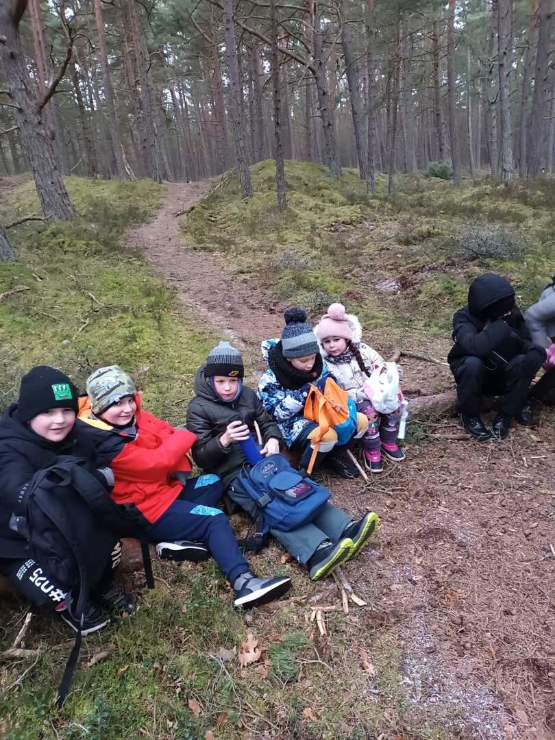 Tutaj powinien być opis obrazka