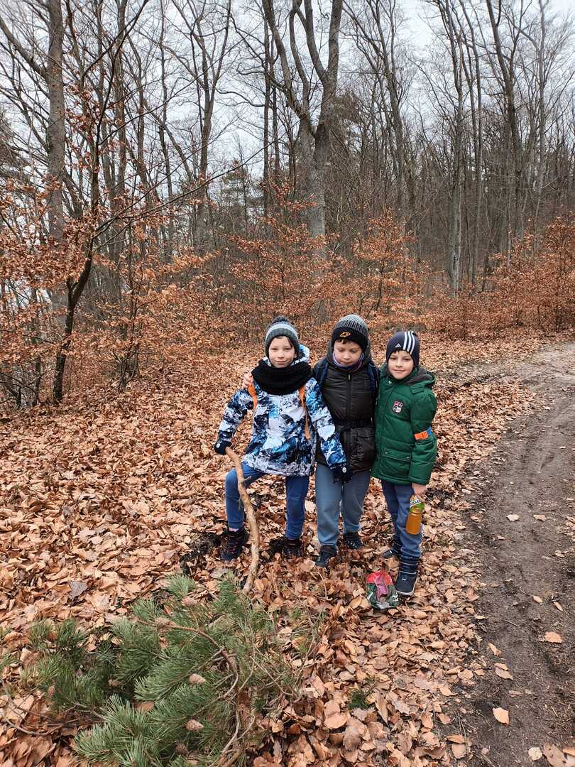 Tutaj powinien być opis obrazka