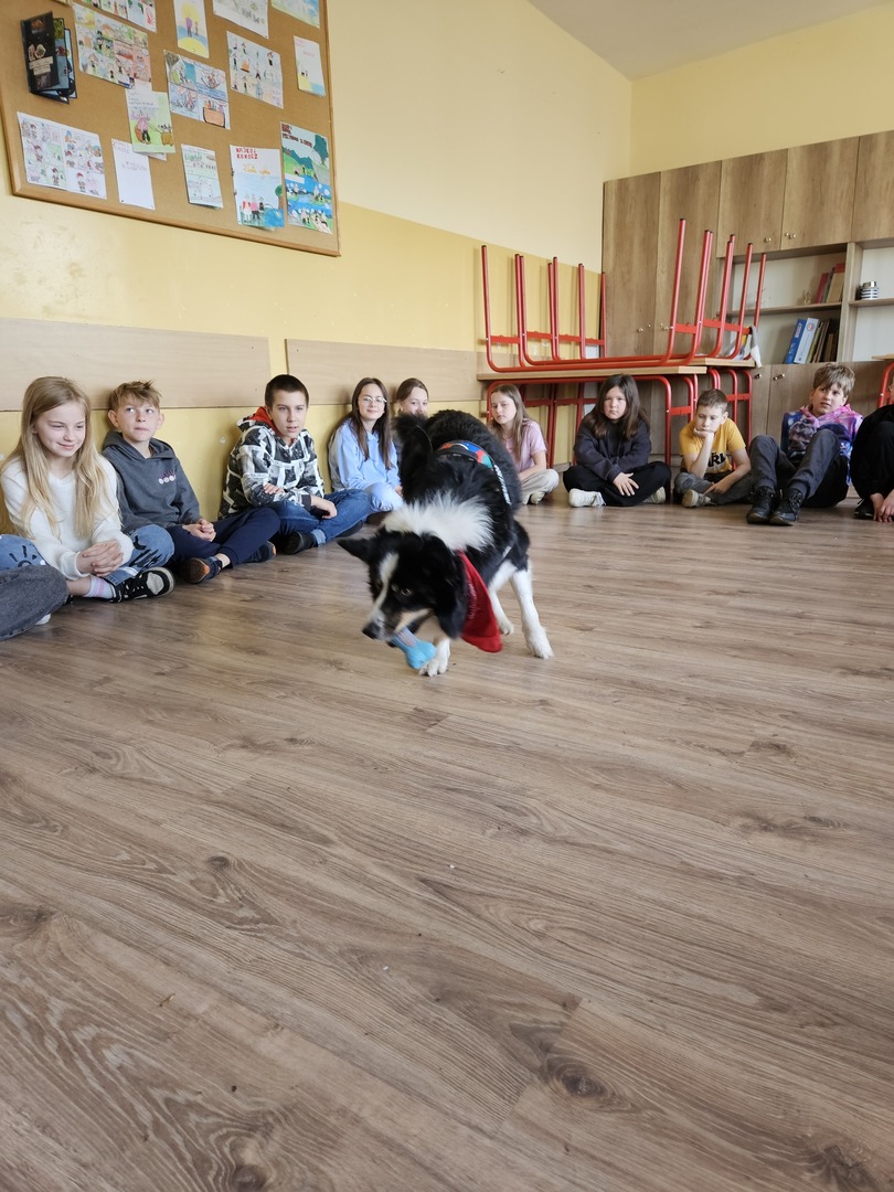 Tutaj powinien być opis
