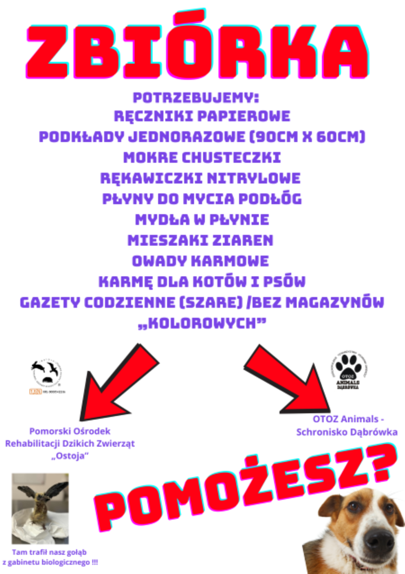 Tutaj powinien być opis