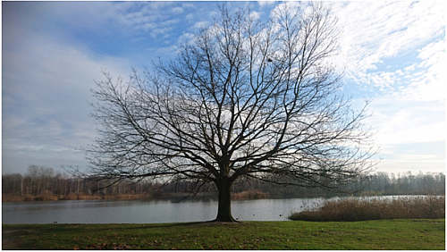 image03.jpg