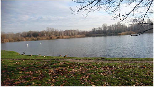 image06.jpg