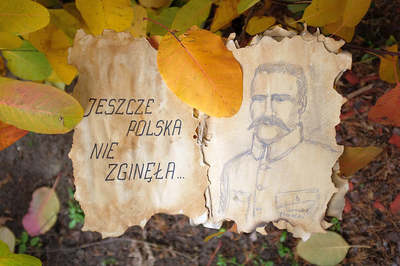 album konkursowy