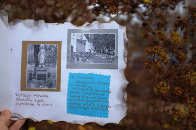 album konkursowy
