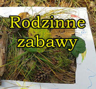 Rodzinne zabawy - artykuł