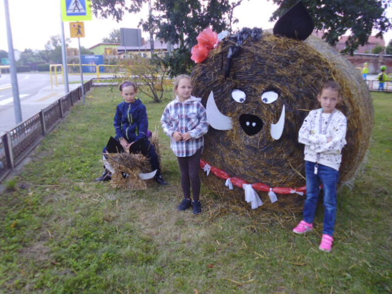 Zdjęcie
