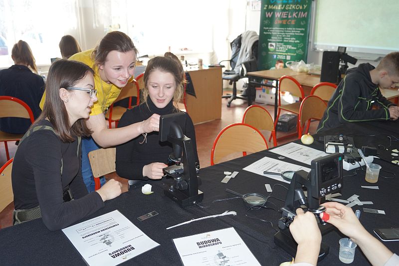 Tutaj powinien być opis