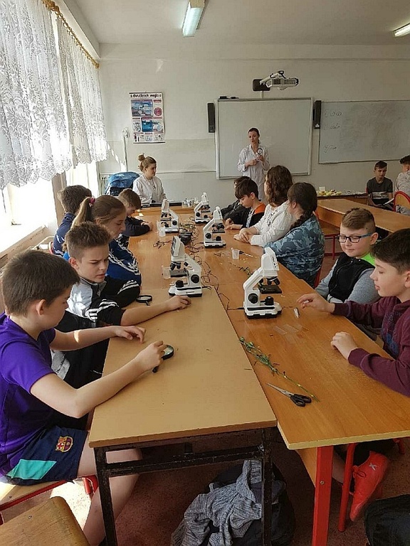 Tutaj powinien być opis