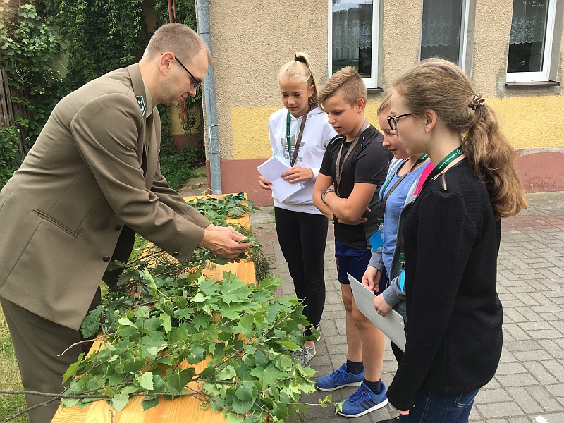 Tutaj powinien być opis