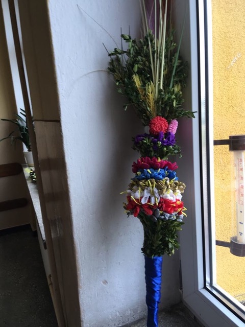 Tutaj powinien być opis