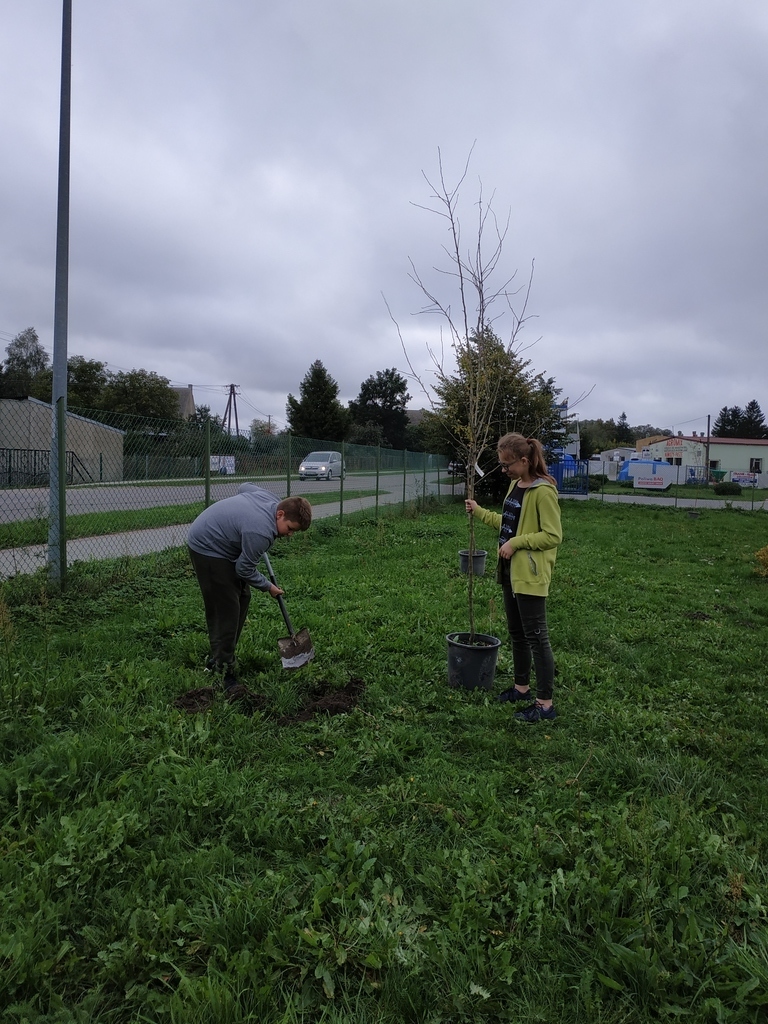 Tutaj powinien być opis