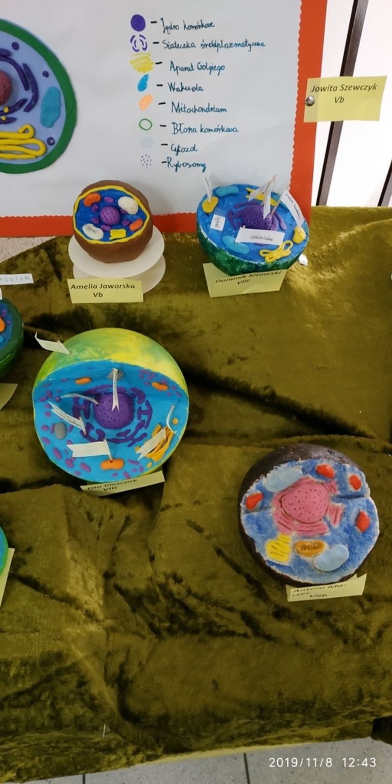 Tutaj powinien być opis