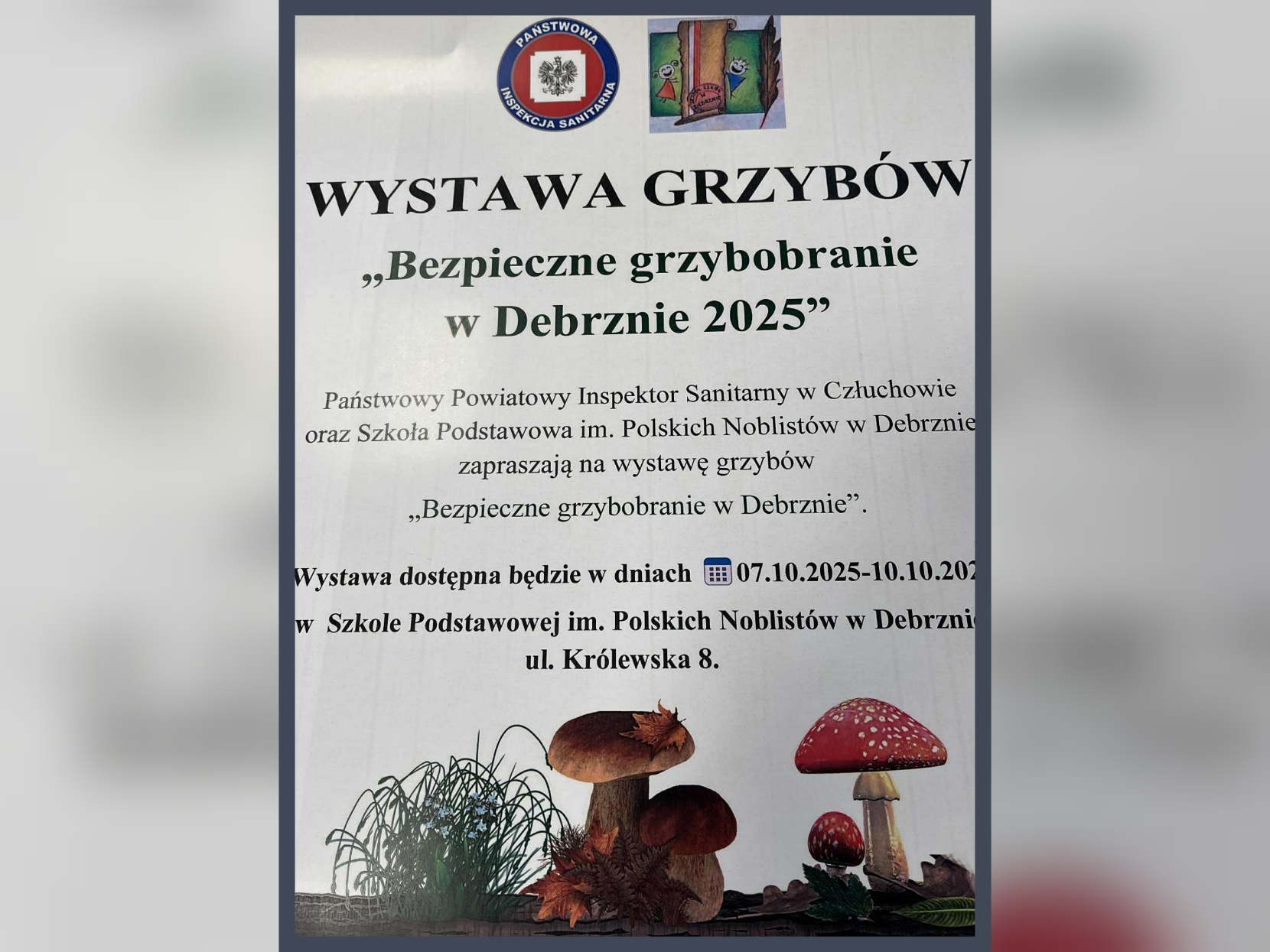Tutaj powinien być opis