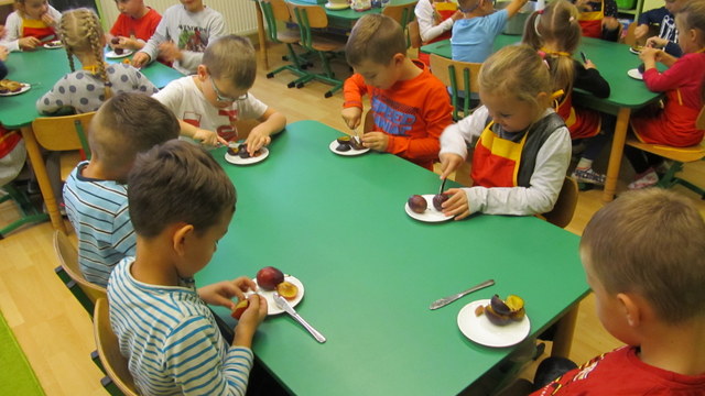 Tutaj powinien być opis