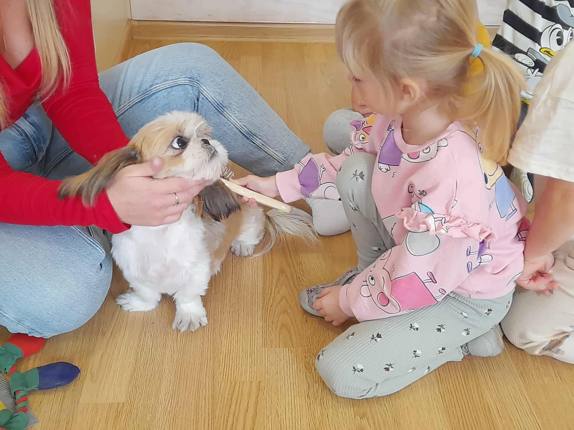 Tutaj powinien być opis