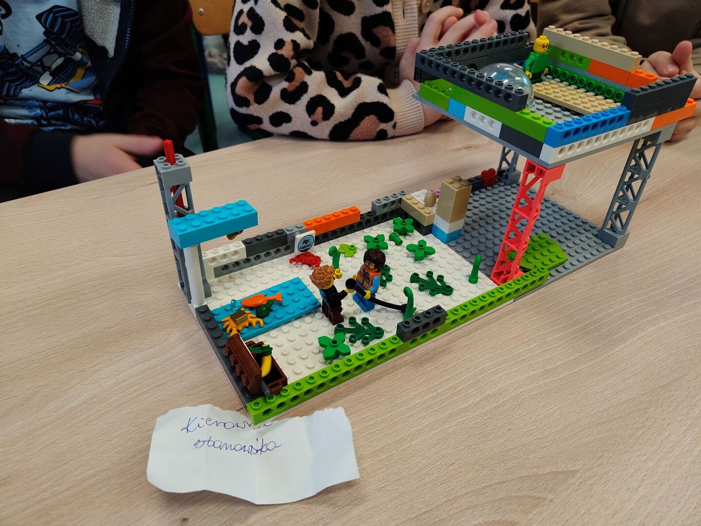 1000013491.jpg [4096x3072]