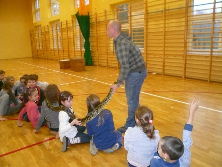 Tutaj powinien być opis