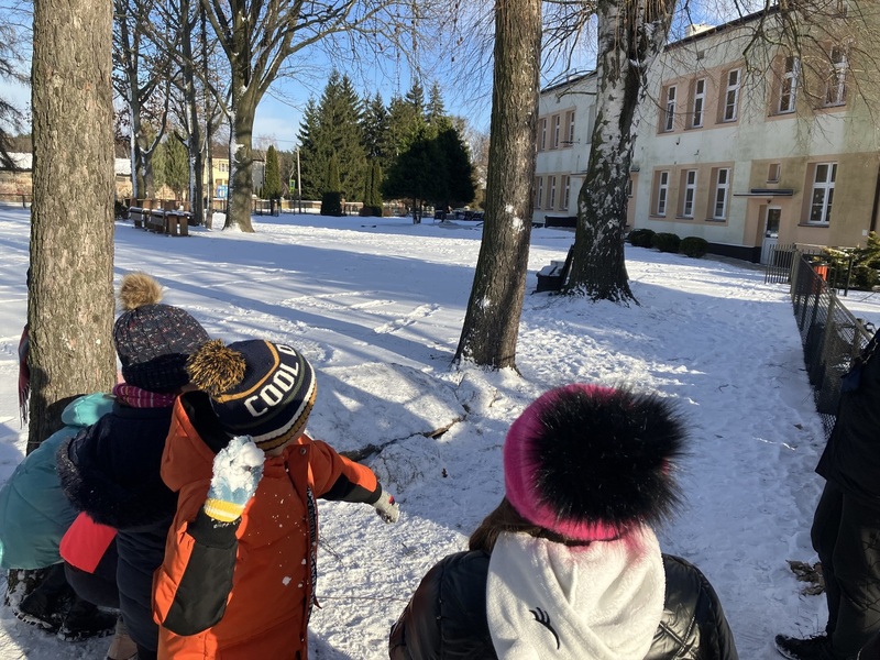 Zdjęcie