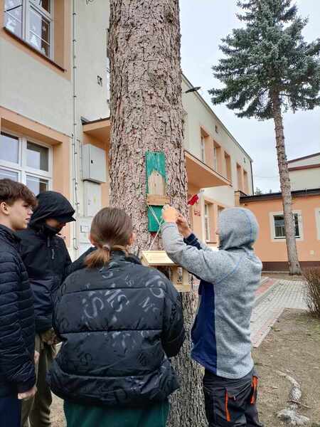 Zdjęcie