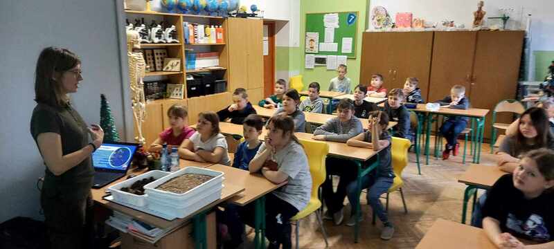 Zdjęcie