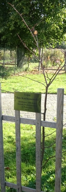 Tutaj powinien być opis obrazka