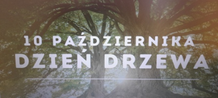 Tutaj powinien być opis obrazka
