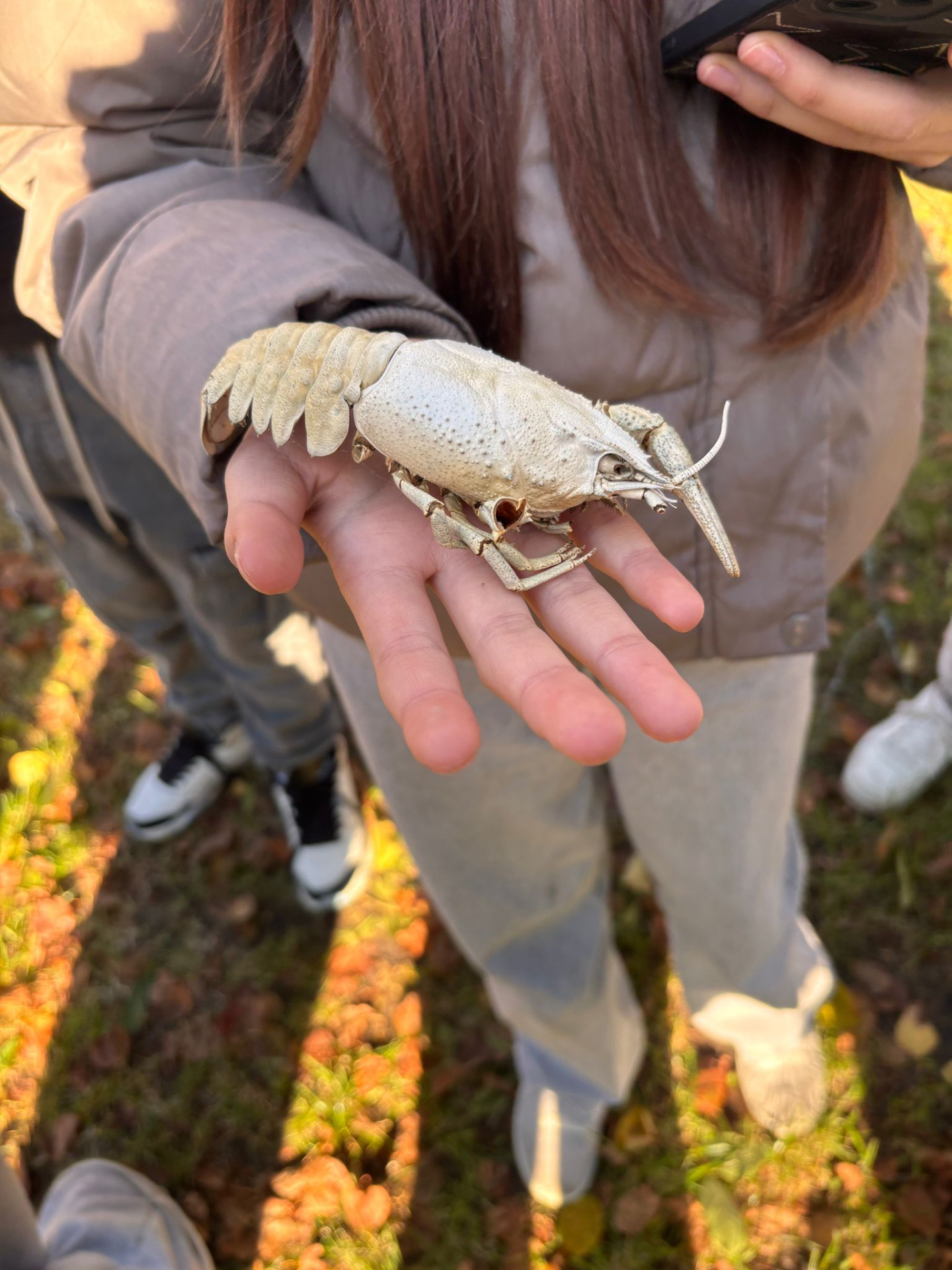 Tutaj powinien być opis obrazka