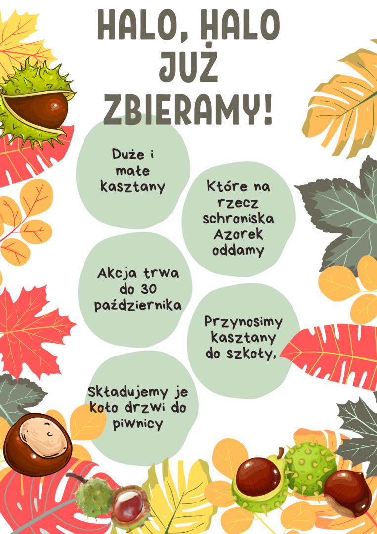 Tutaj powinien być opis