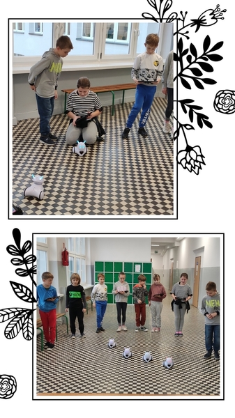 Zdjęcie