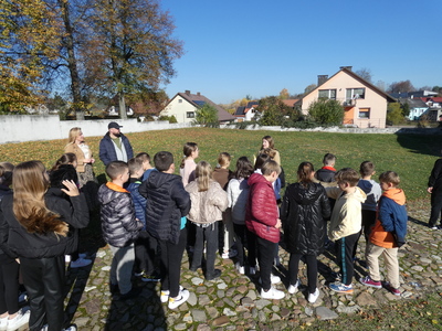 Projekt Krokus