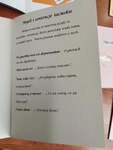 Latin aenigmata schola