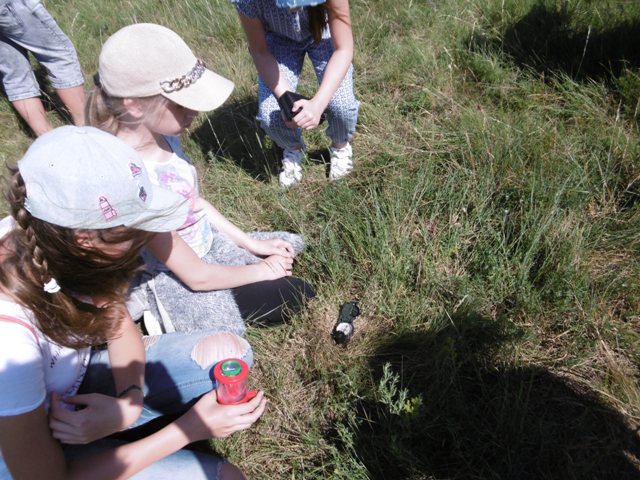 Tutaj powinien być opis